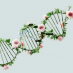 Генетические основы принятия решений и наследственность когнитивных процессов