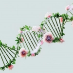 Экономические факторы в генетических исследованиях
