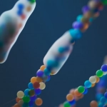 Генетические основы игровых способностей и наследственность