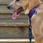 Генетические основы склонности к удаче и принятию решений