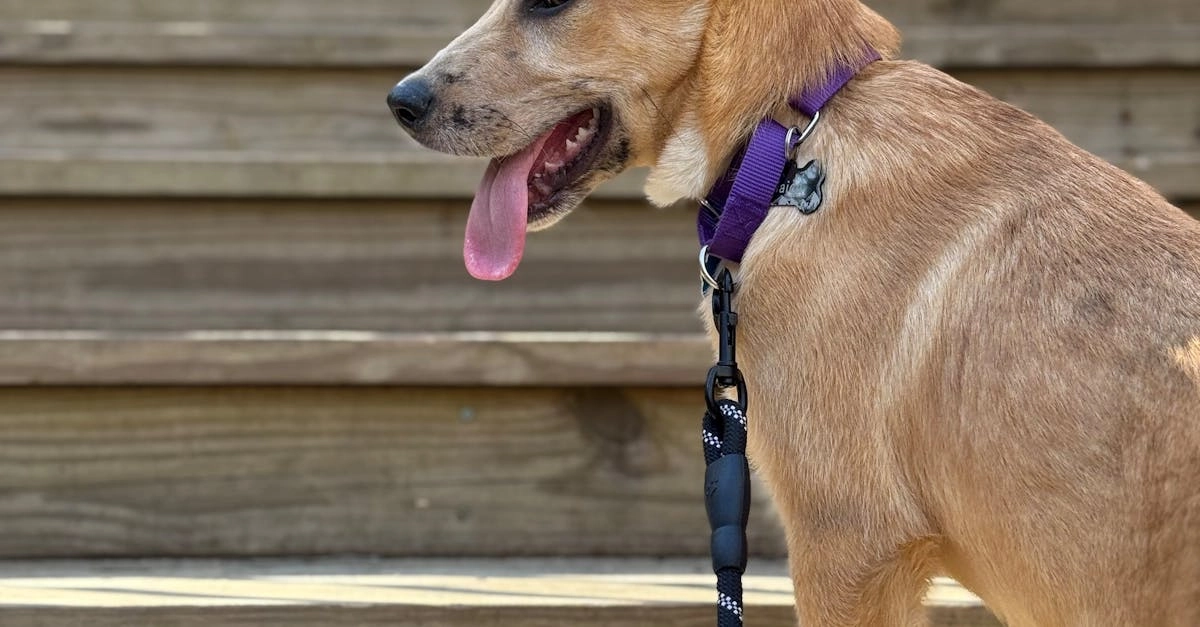 Генетические основы склонности к удаче и принятию решений