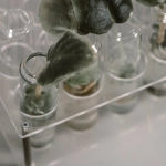 Генетика азартного поведения и наследственность в казино