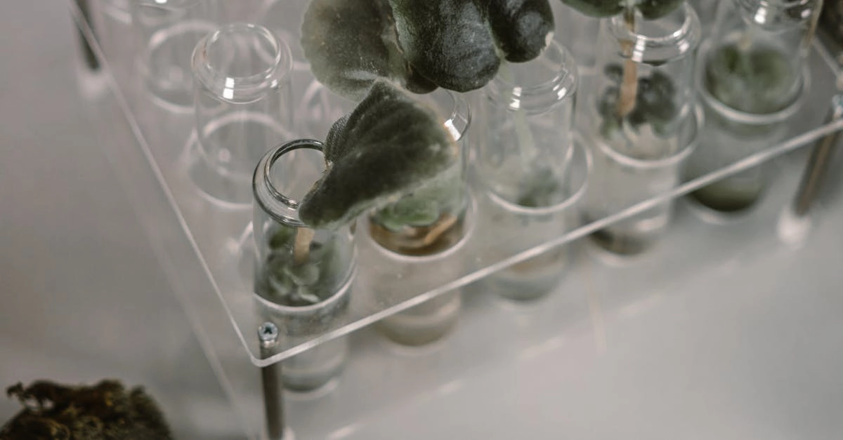 Генетика азартного поведения и наследственность в казино